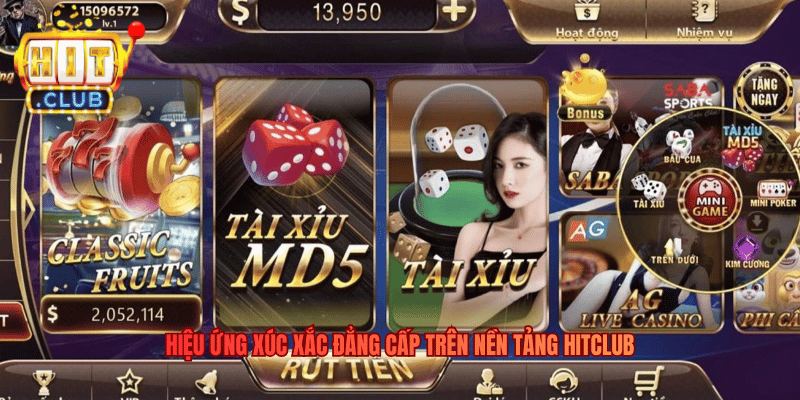 Hiệu ứng xúc xắc đẳng cấp trên nền tảng Hitclub
